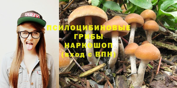 PSILOCYBIN Горно-Алтайск