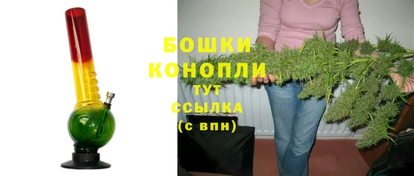 PSILOCYBIN Горно-Алтайск