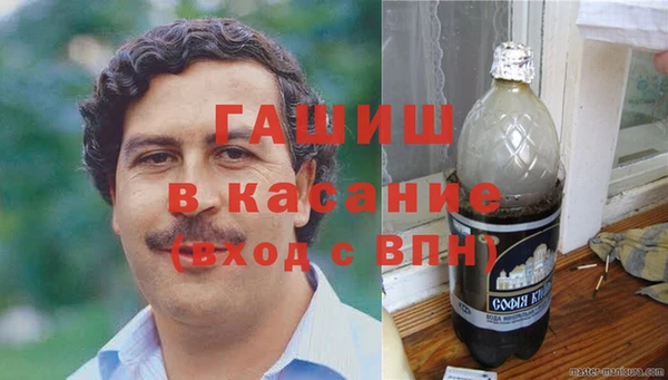 PSILOCYBIN Горно-Алтайск