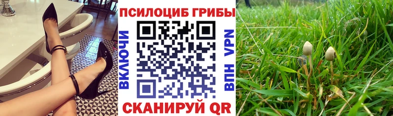 Галлюциногенные грибы Magic Shrooms  блэк спрут ONION  Арзамас  наркошоп 